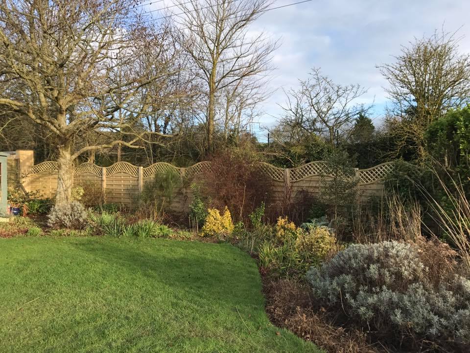 A garden with a grassy lawn, bordered by various shrubs and small plants, features bespoke railings enhancing the charm. A wooden fence with a lattice top runs along the back, while bare trees stand tall against a cloudy sky.